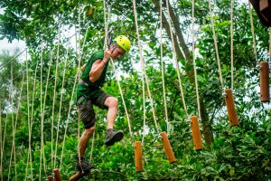 ALBA Wellness Resort Huế