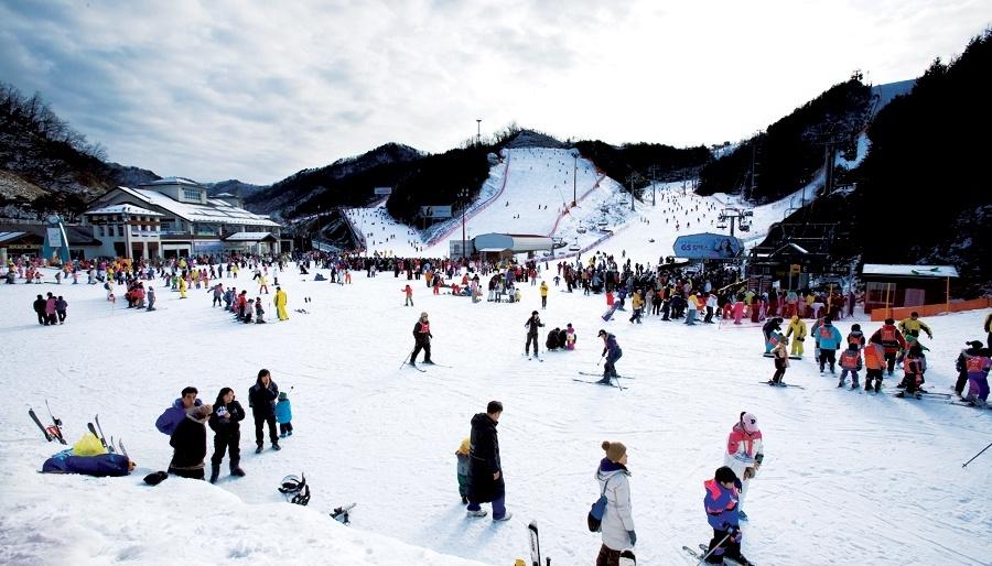 Alpensia Ski Resort 1