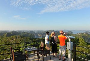 Height 177 Cat Ba view point