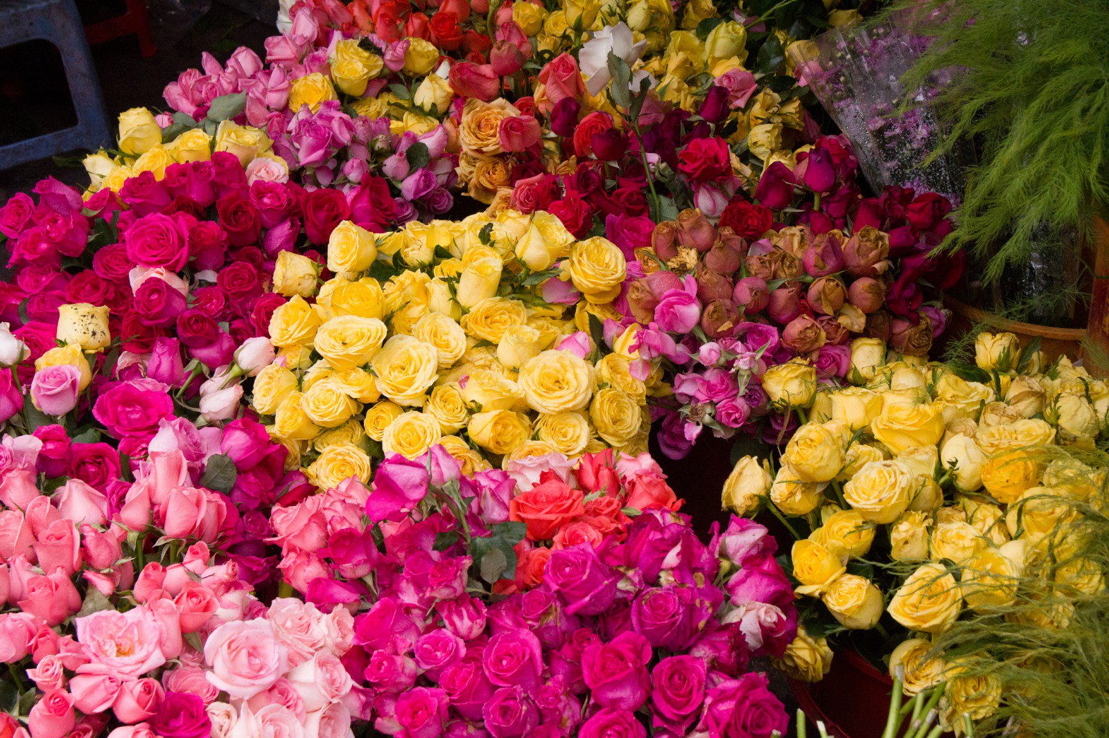 Ho Thi Ky Flower Market 14