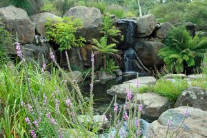 Vườn thực vật Quốc Gia Úc