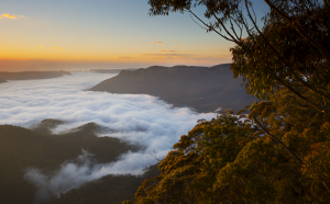 công viên quốc gia blue mountains úc