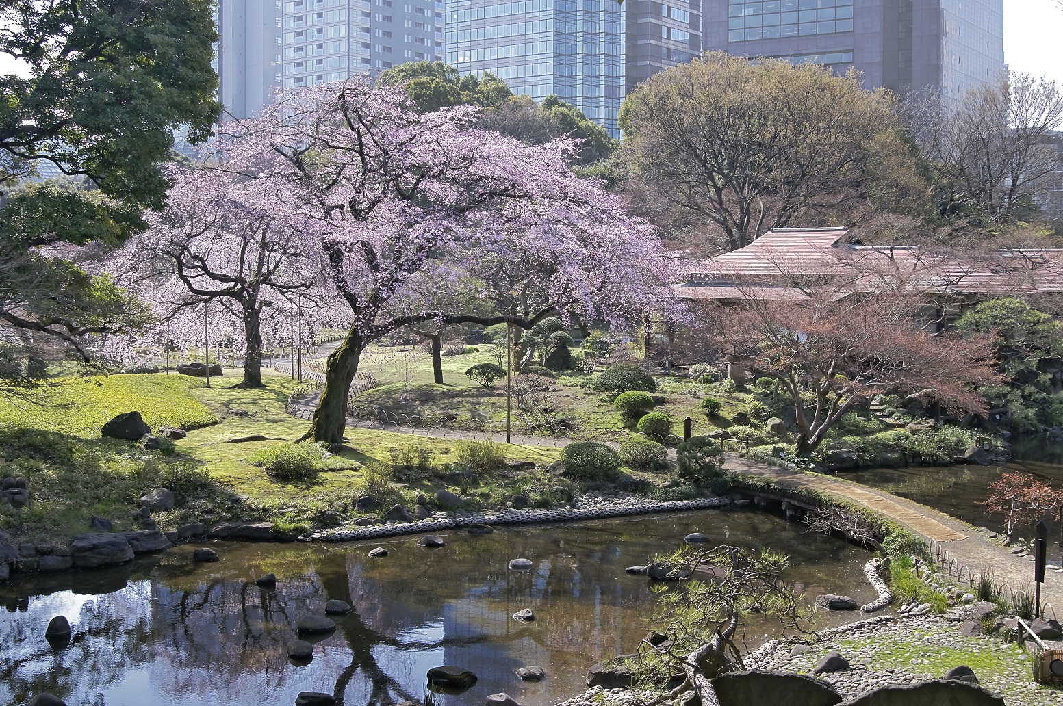 Koishikawa garden nhật bản