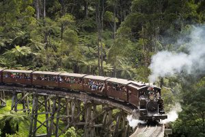 01 Puffing Billy Trains 1