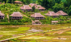 Mai Chau