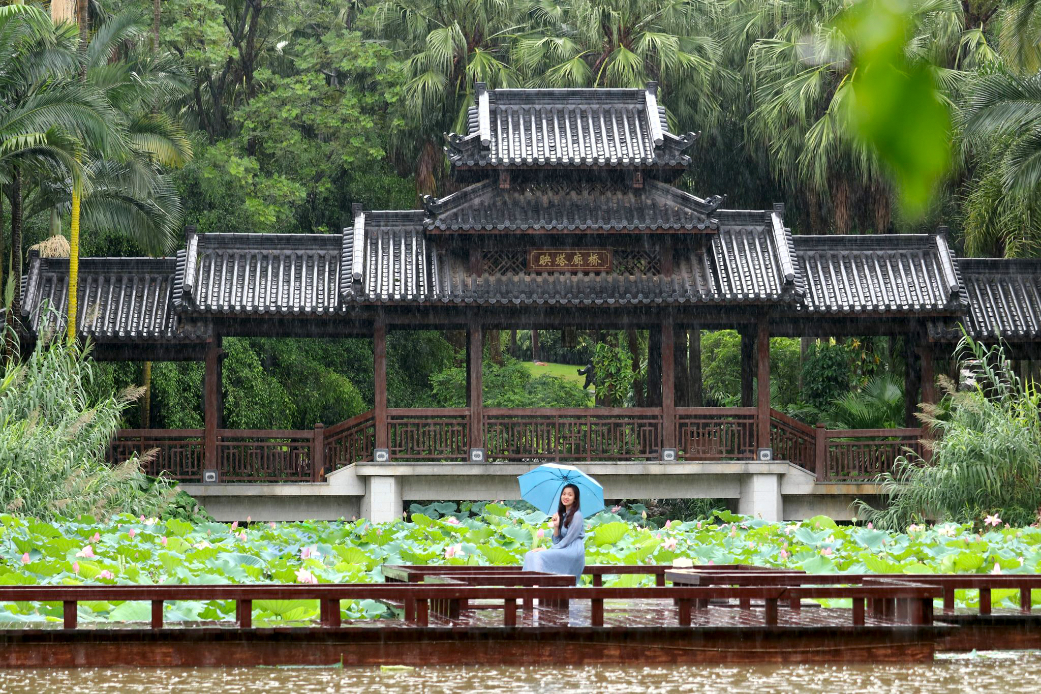 Thanh Tú Sơn Nam Ninh