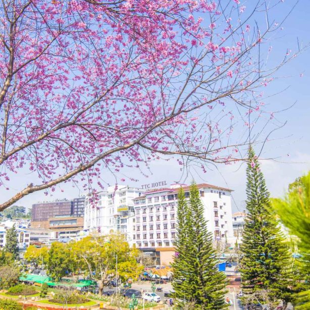TTC Đà Lạt