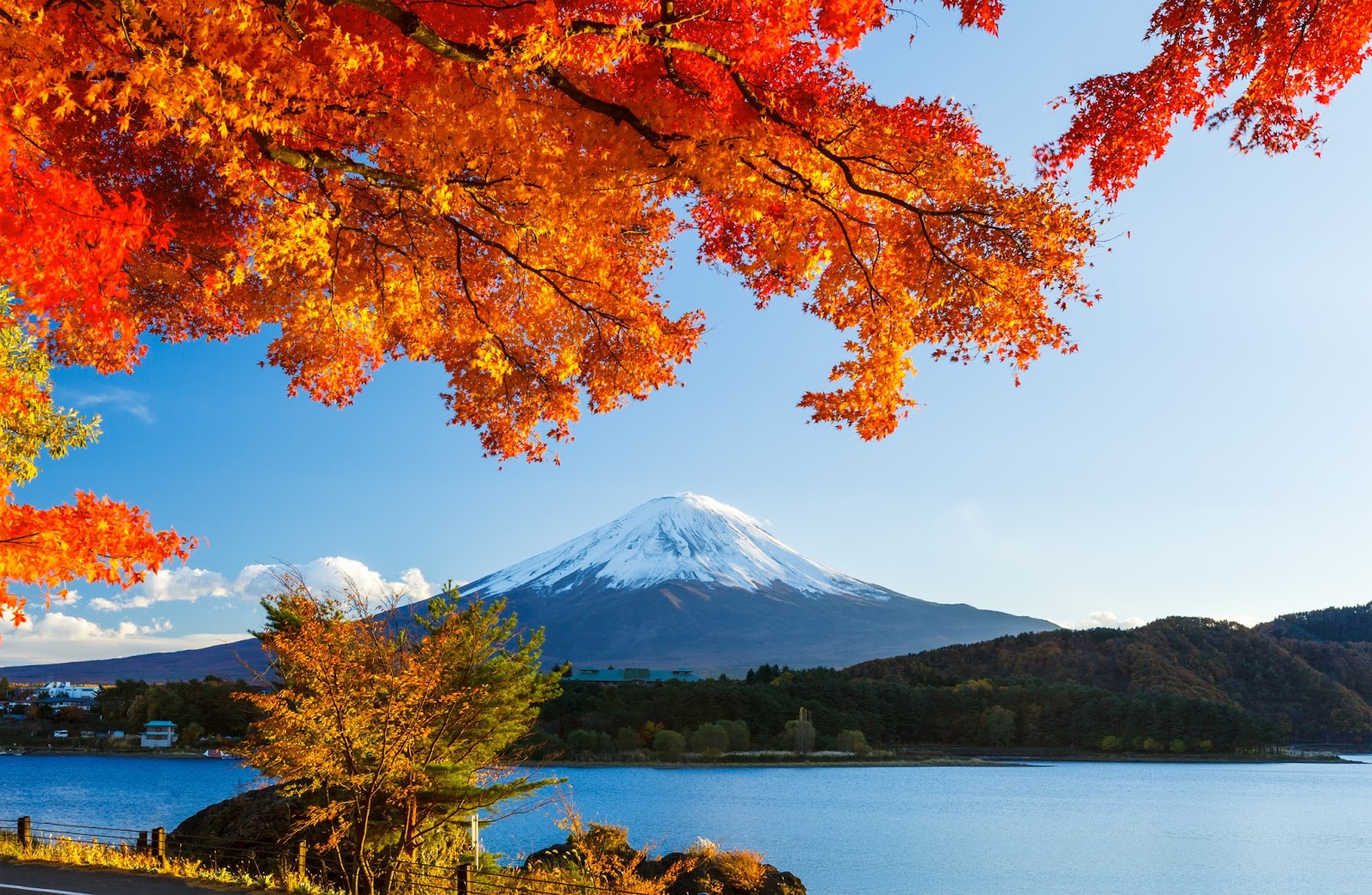 Kinh nghiệm du lịch núi Phú Sĩ Nhật Bản - Fantasea Travel