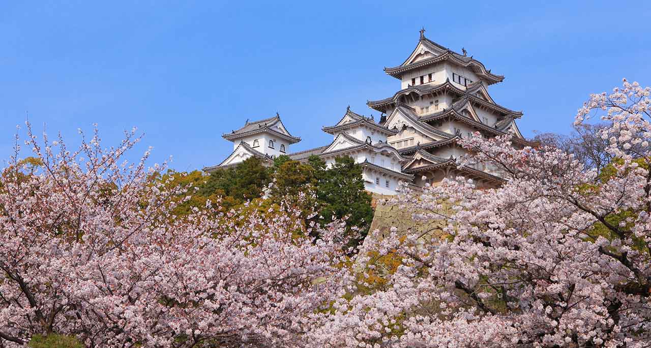 Những điểm thăm quan nổi tiếng ở Tokyo Nhật Bản – Fantasea Travel