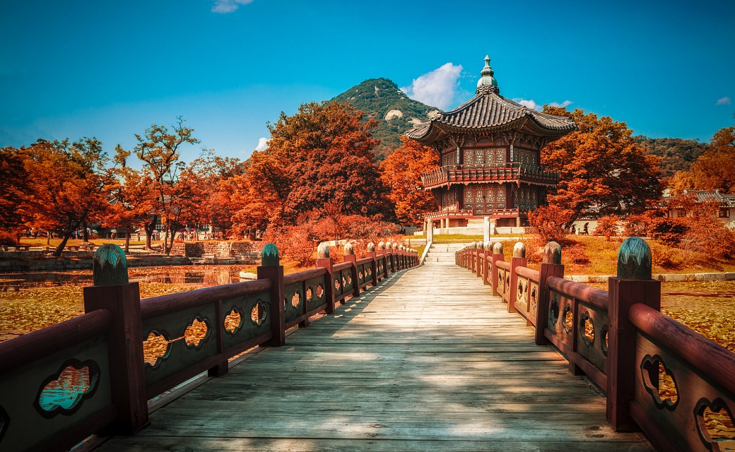 Du lịch Hàn Quốc  SEOUL  EVERLAND  NAMI  VƯỜN TRÁI CÂY  NGẮM HOA ANH  ĐÀO  Bay thẳng từ Cần Thơ