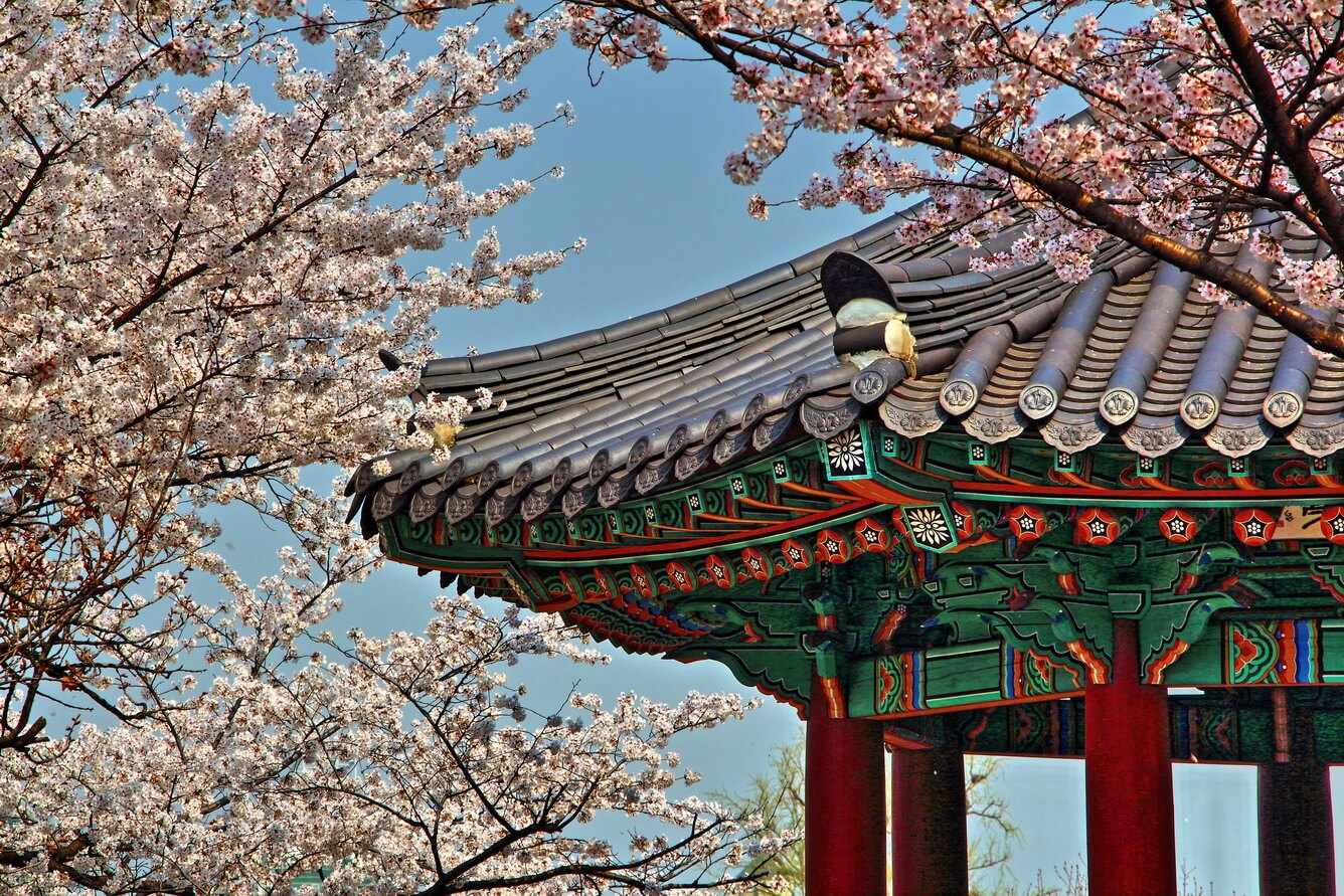 Ngắm hoa anh đào ở Seoul Hàn Quốc - Fantasea Travel