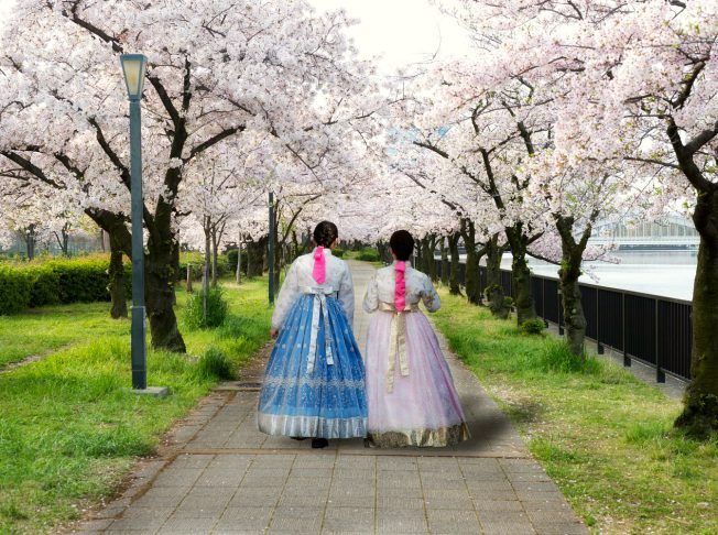 Hàn Quốc mùa hoa 10