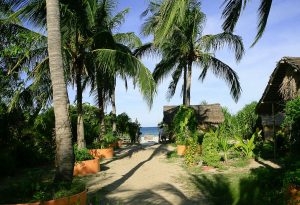 Jungle Beach nha trang