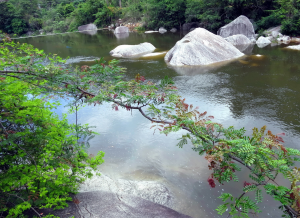 Chu Yang Sin National Park dak lak