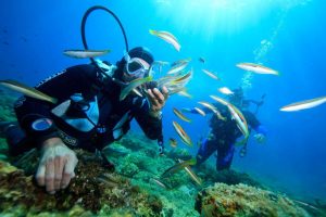 hoi an diving tour