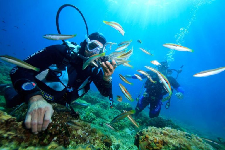The best places to go diving in Vietnam Fantasea Travel