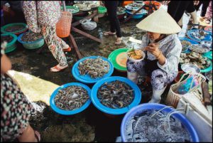 Brunch in hoian