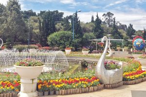 da lat flower garden fountain