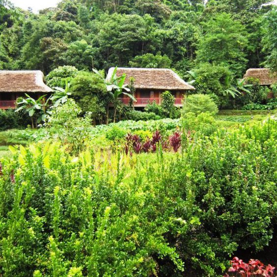 Ecolodge Panhou Village 1