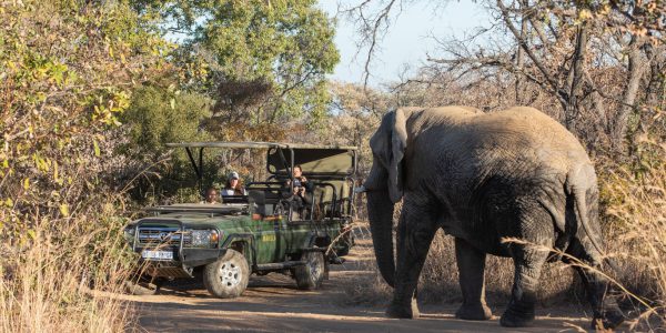 Mabula Safari Nam Phi