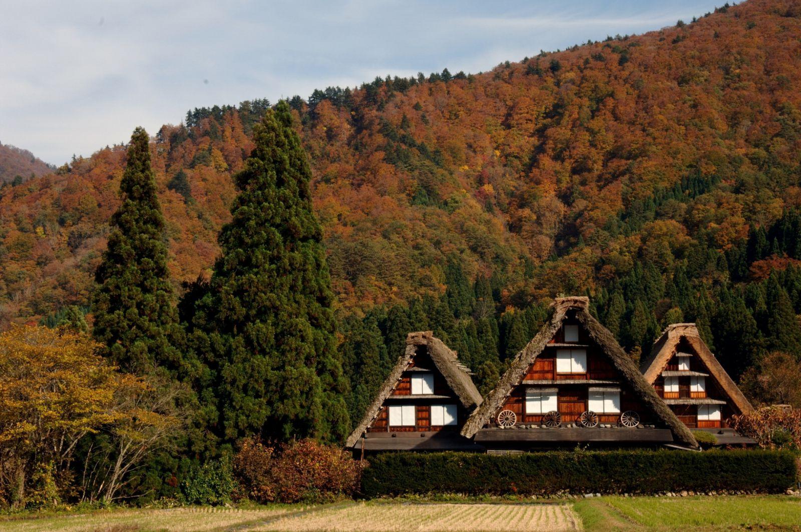 Shirakawa go nhật bản