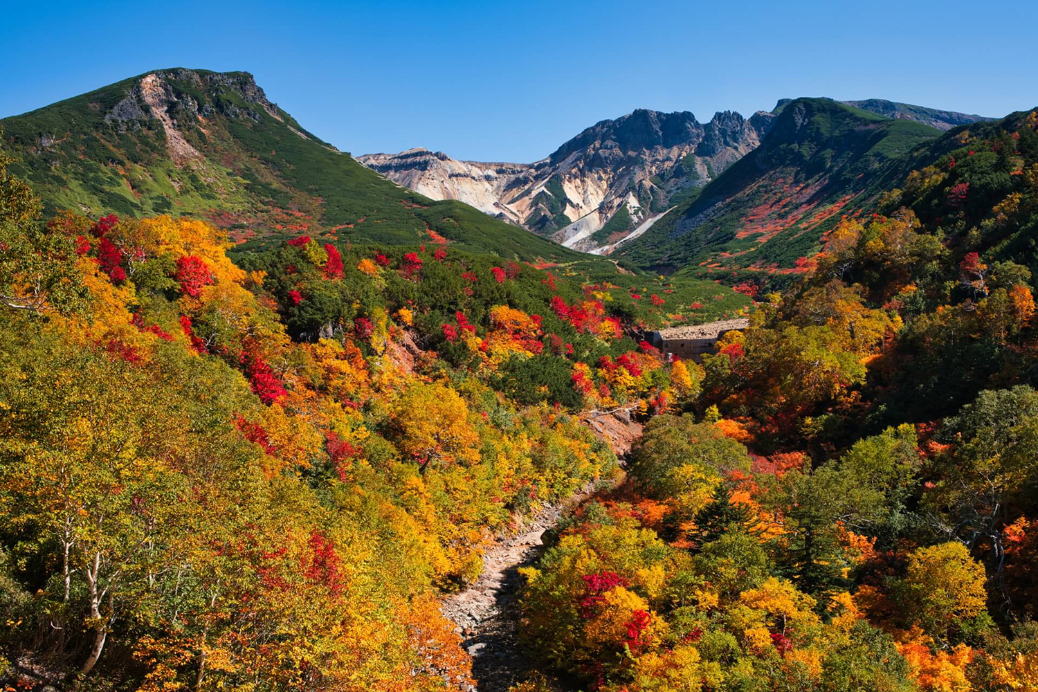 Daisetsuzan in autumn