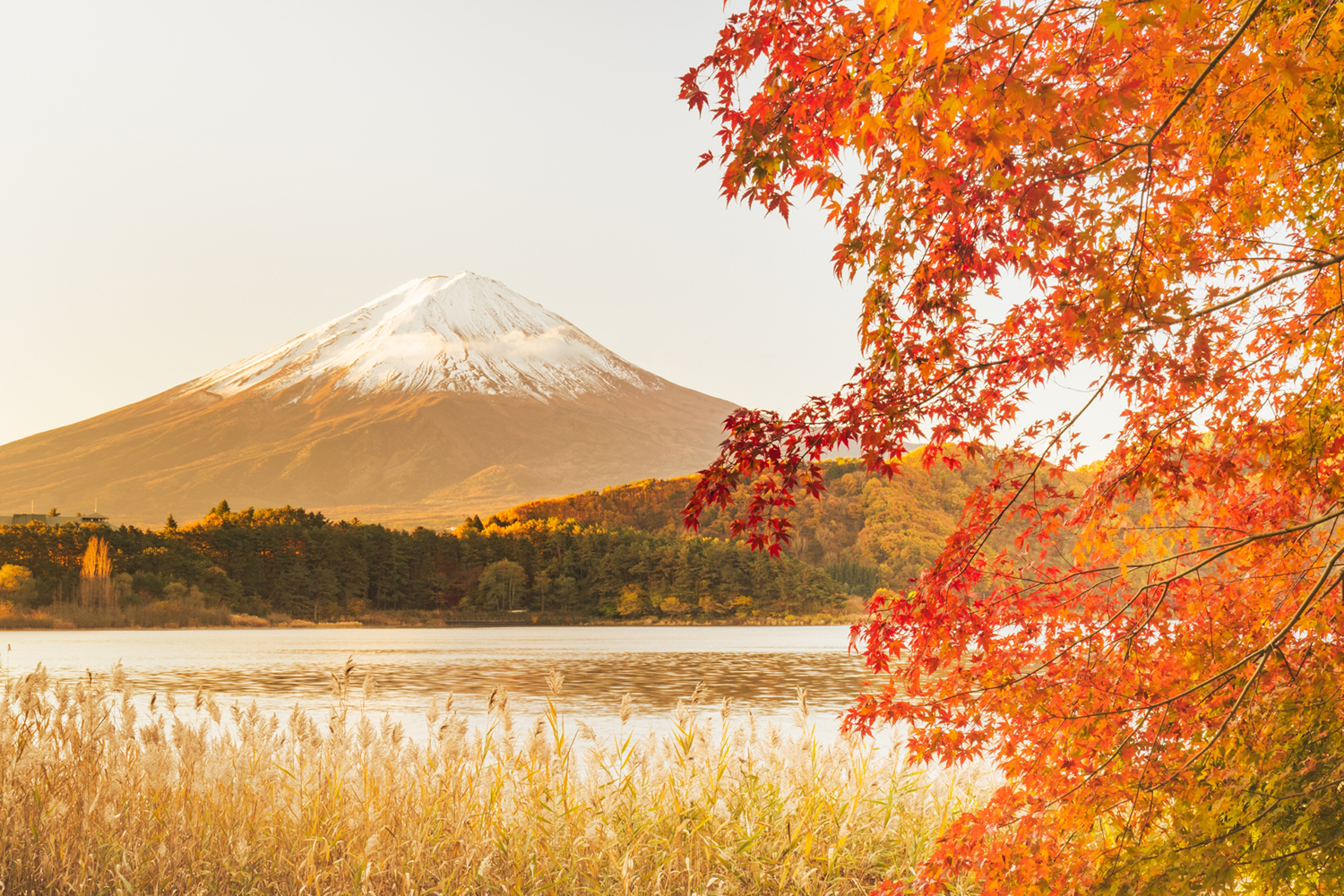 Fuji Five Lakes in Autumn