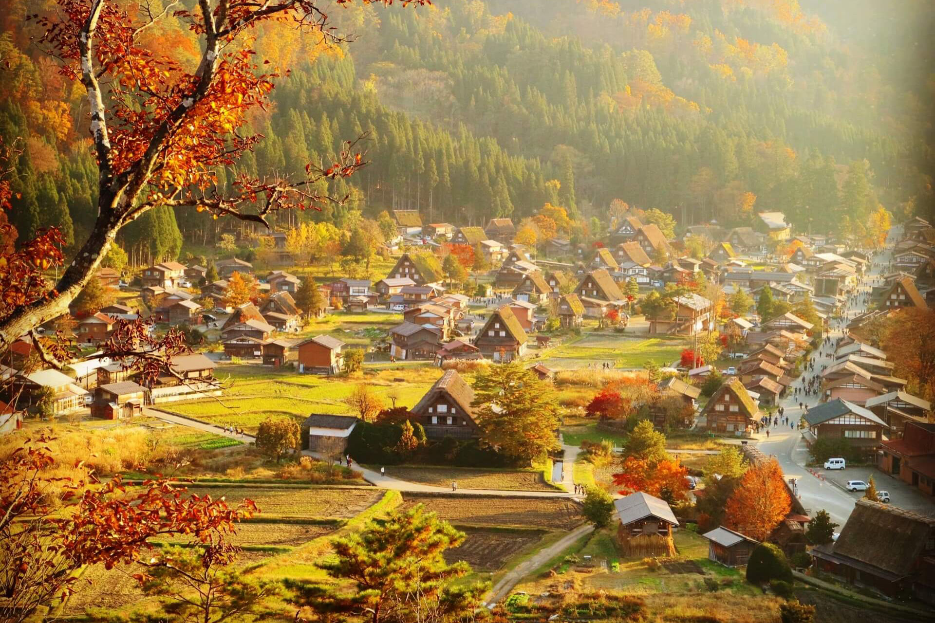 Shirakawago Nhật Bản