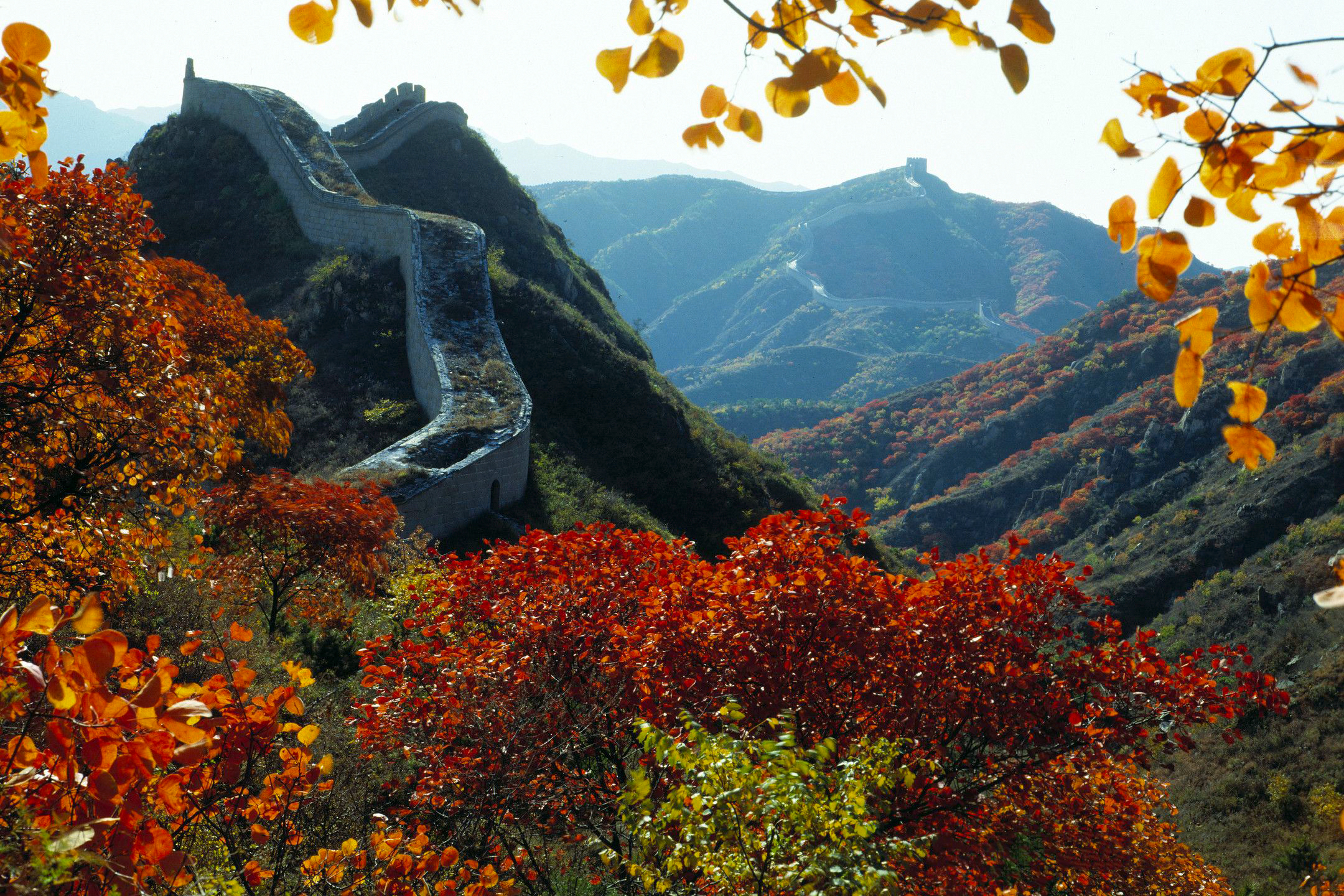 CÔNG VIÊN RỪNG BADALING