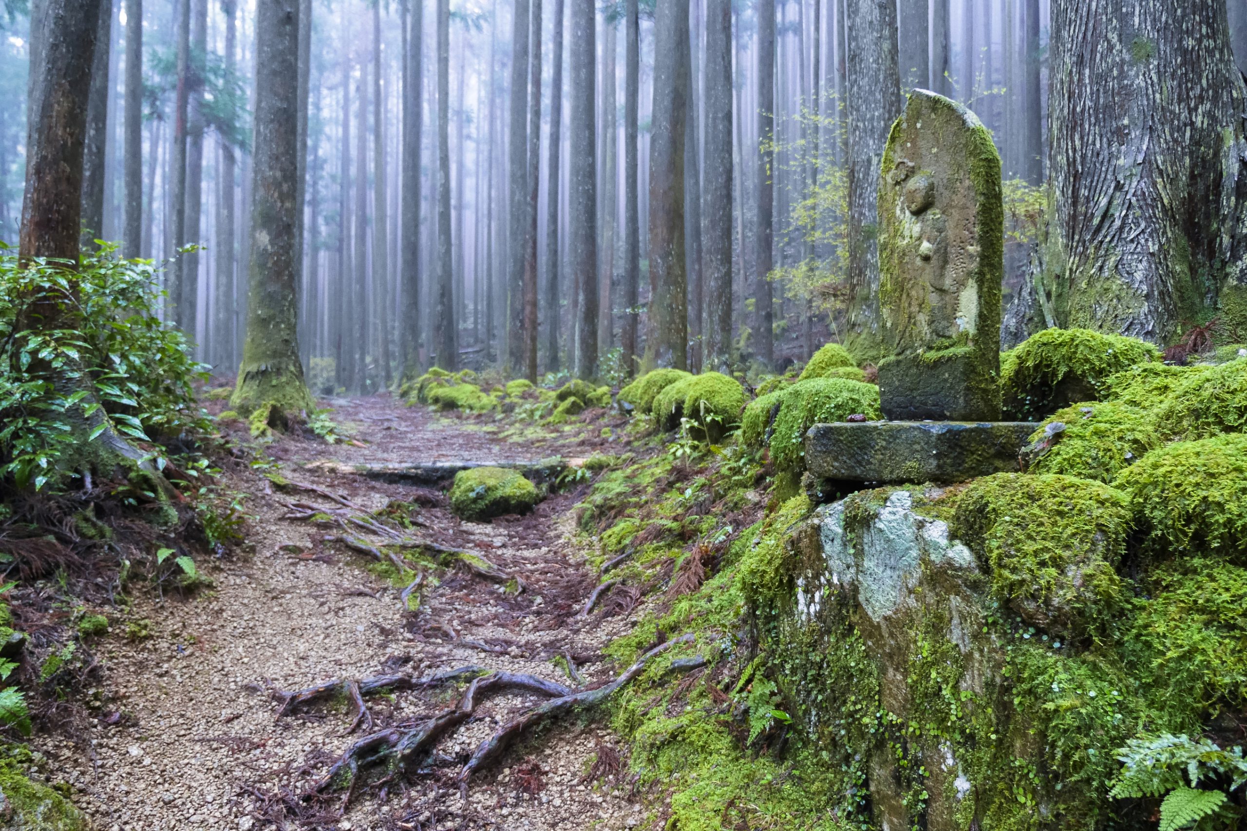 Kumano Kodo