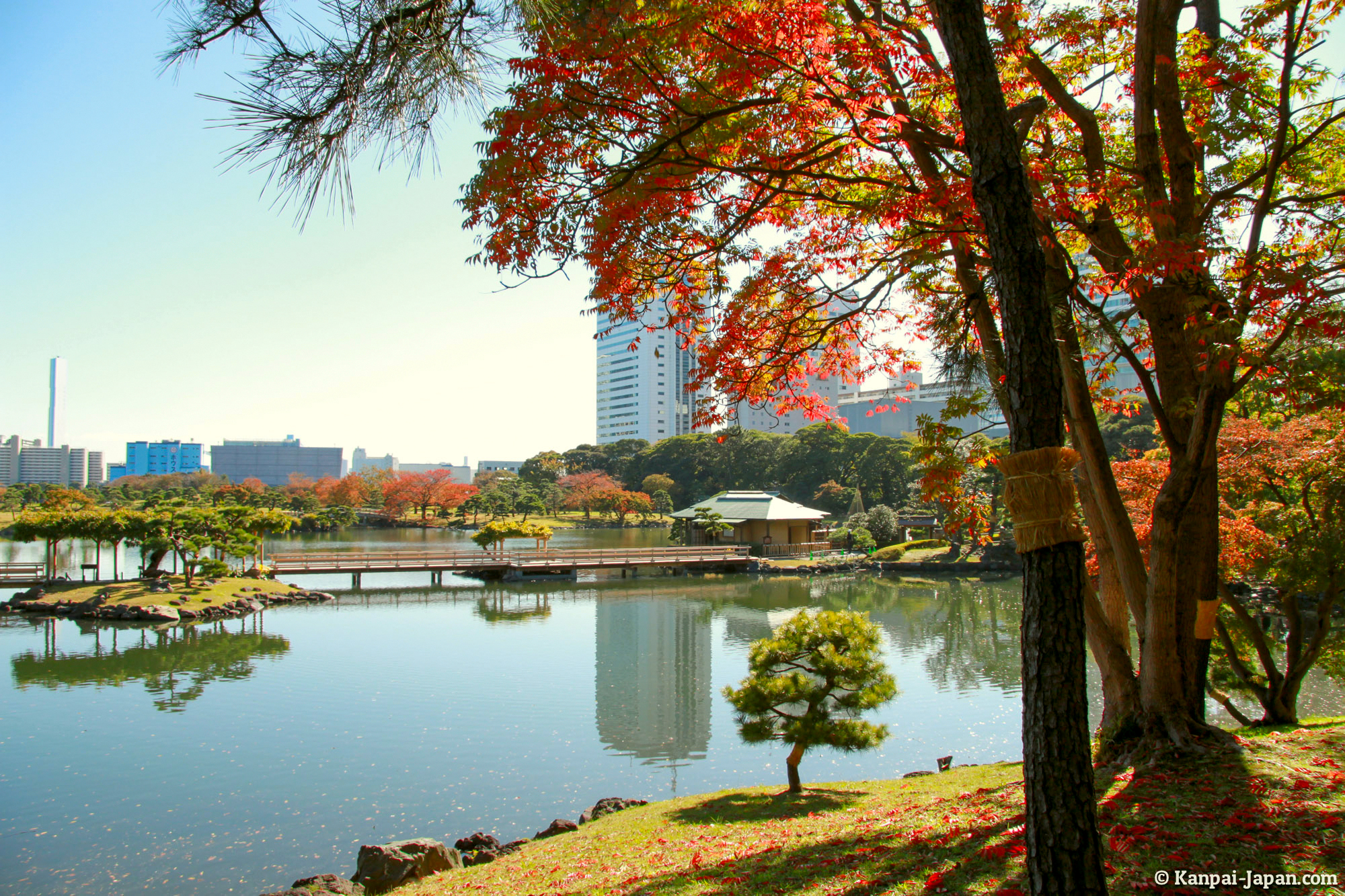 HAMARIKYU Nhật Bản