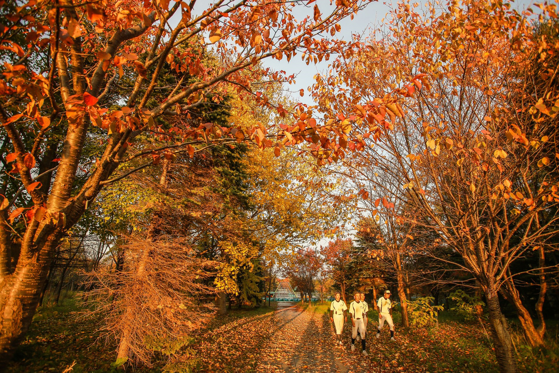 Hokkaido Nhật Bản