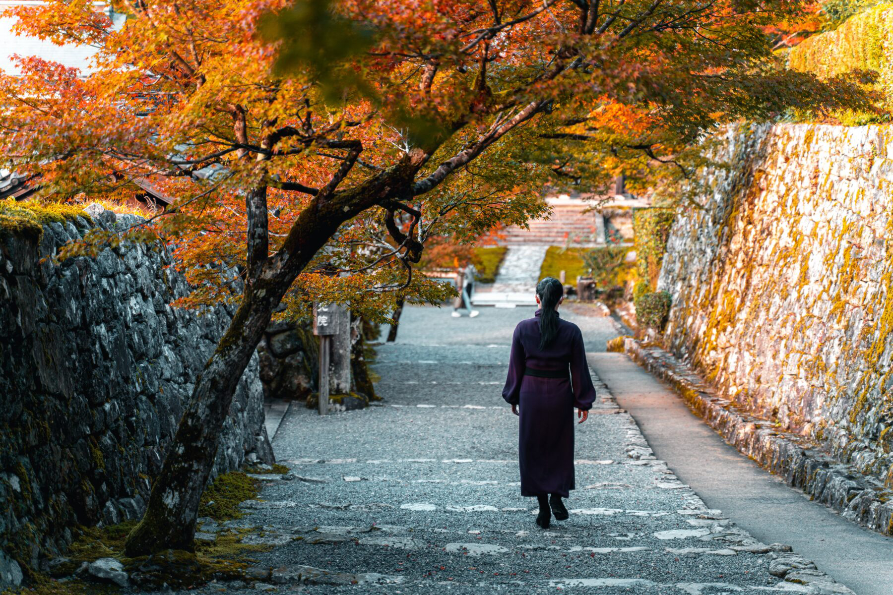 Kyoto Nhật Bản