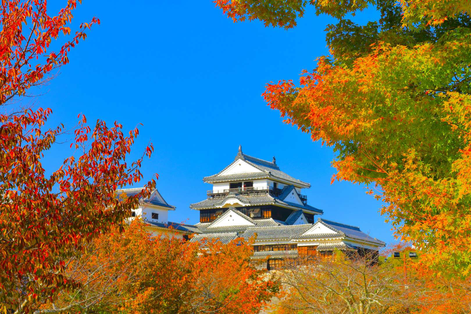 LÂU ĐÀI MATSUYAMA Nhật Bản