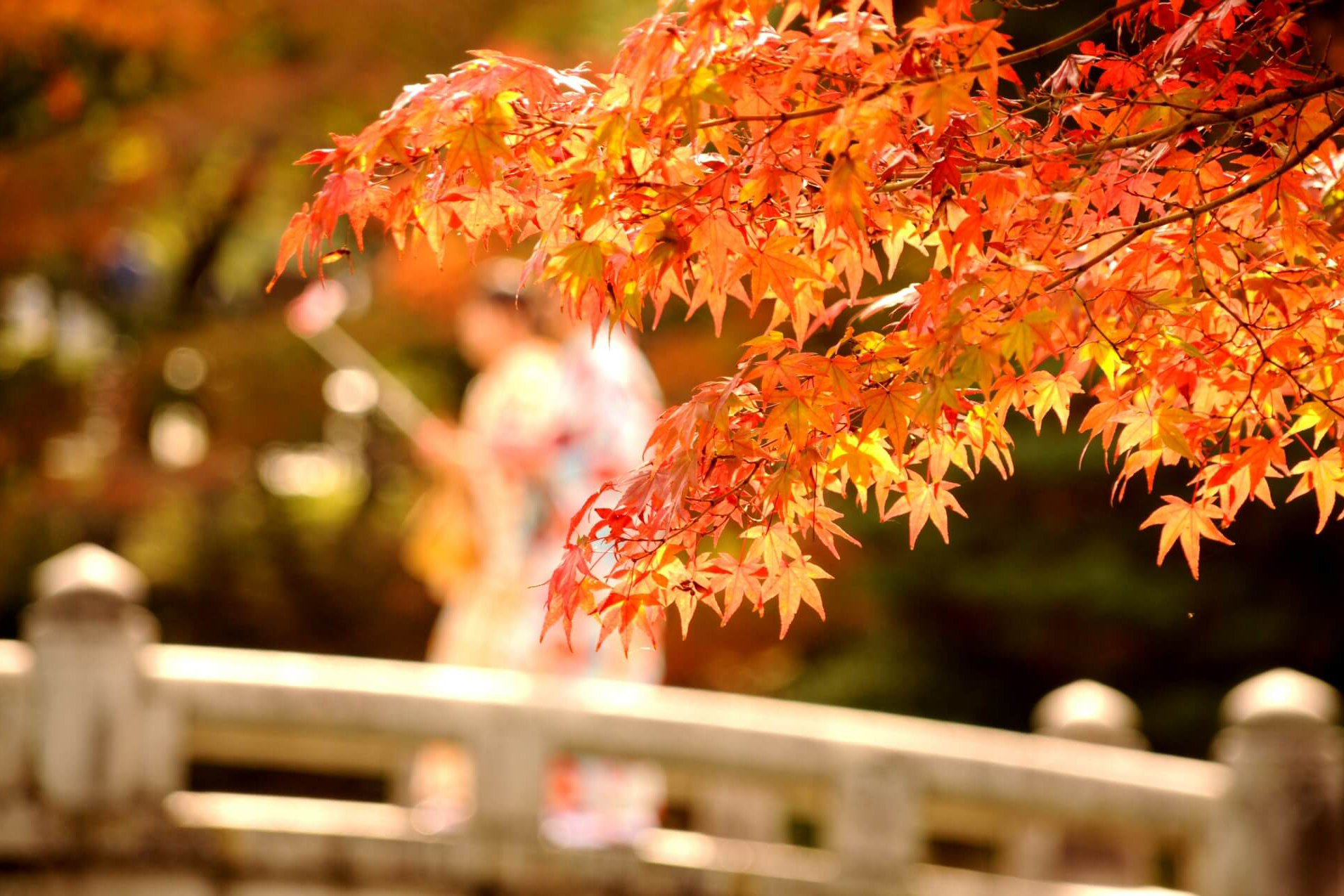 Maruyama Park Nhật Bản