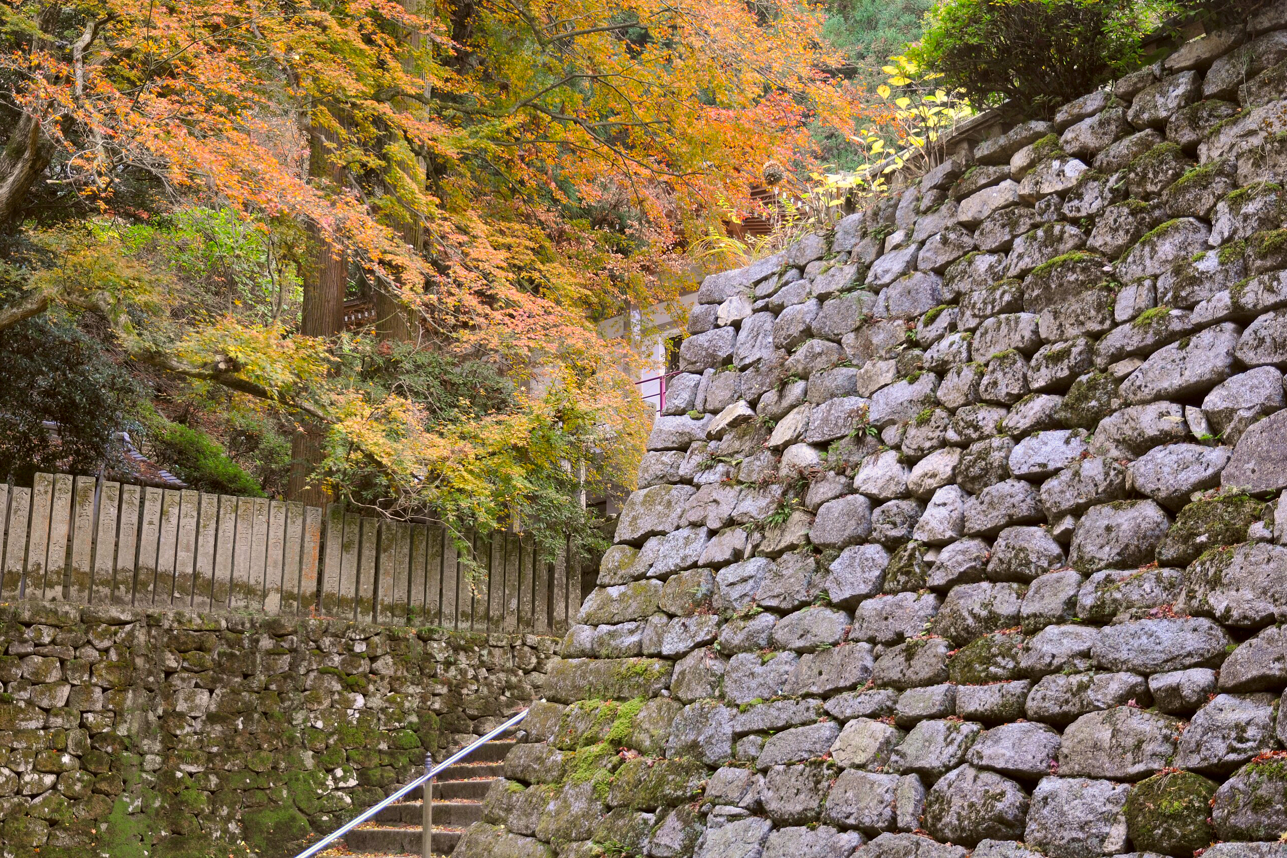 NISHIYAMA KORYUJI Nhật Bản