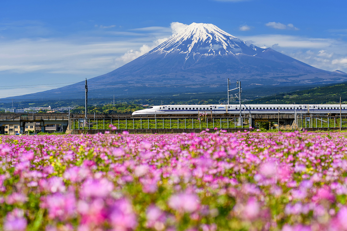 Shinkansen Mountain fuji