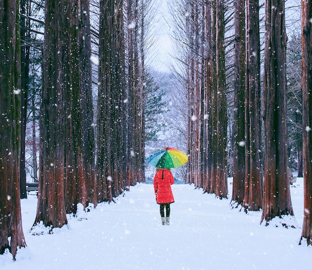 Girl,With,Colourful,Umbrella,In,Row,Tree,,Nami,Island,In