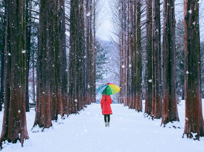 Girl,With,Colourful,Umbrella,In,Row,Tree,,Nami,Island,In