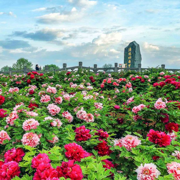 Tây An Lạc Dương Trịnh Châu (6)