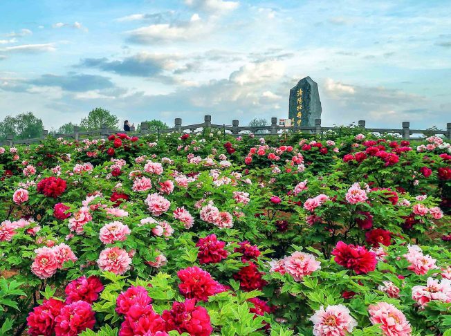 Tây An Lạc Dương Trịnh Châu (6)