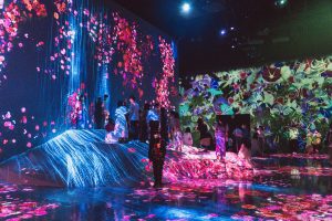 TeamLab Borderless general image