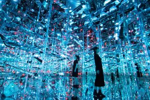 microcosmoses