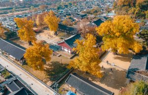 Jeonji Hanok Jeonji Hanok