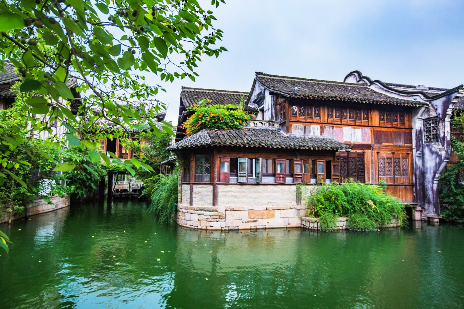 Bộc viện